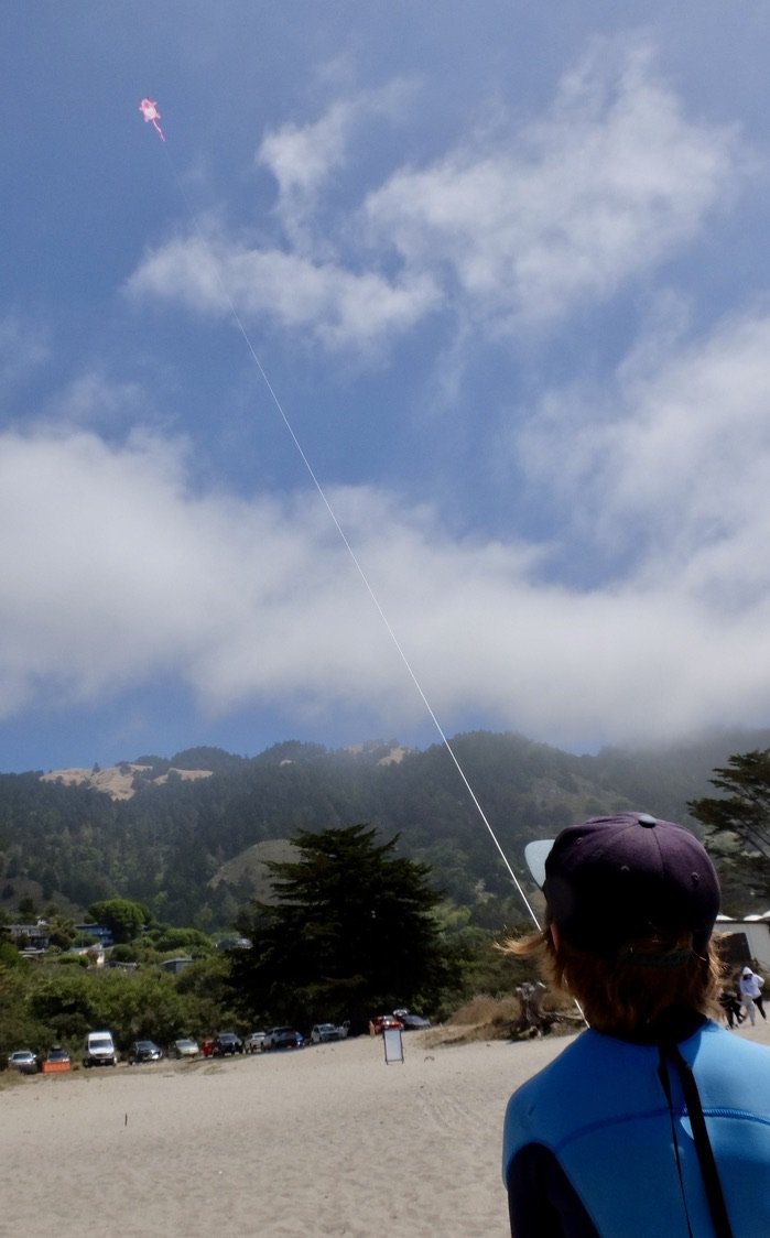  “When pigs fly.”  Stinson Beach.   