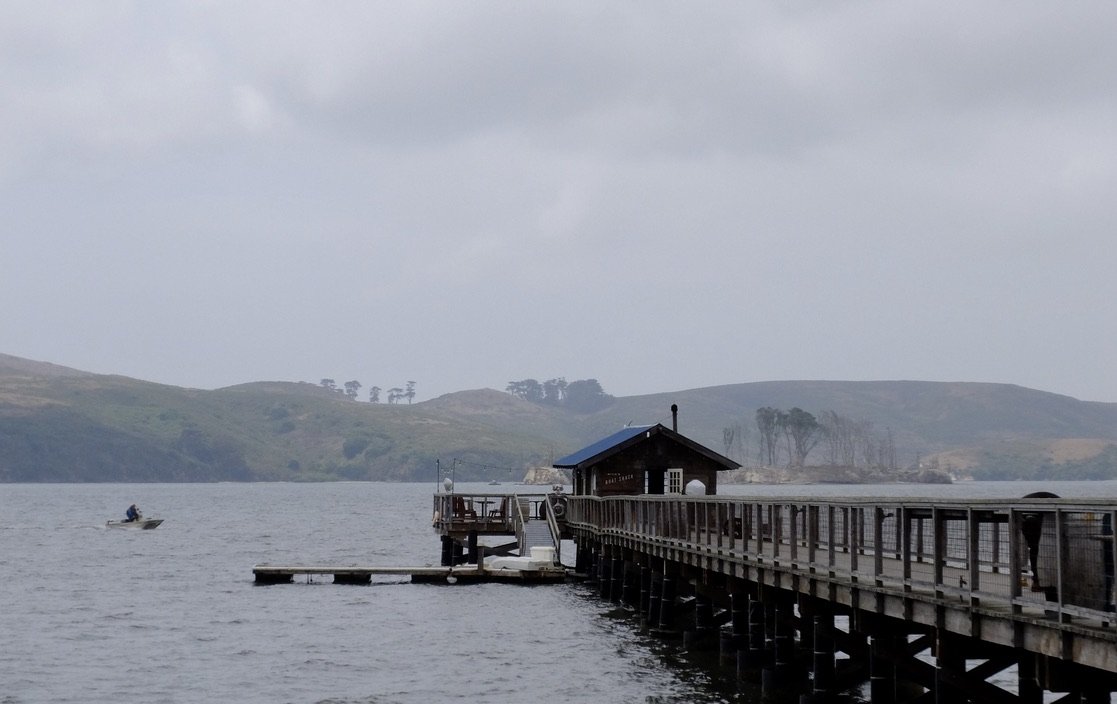 Nick's Cove &amp; out to the right, Hog Island.