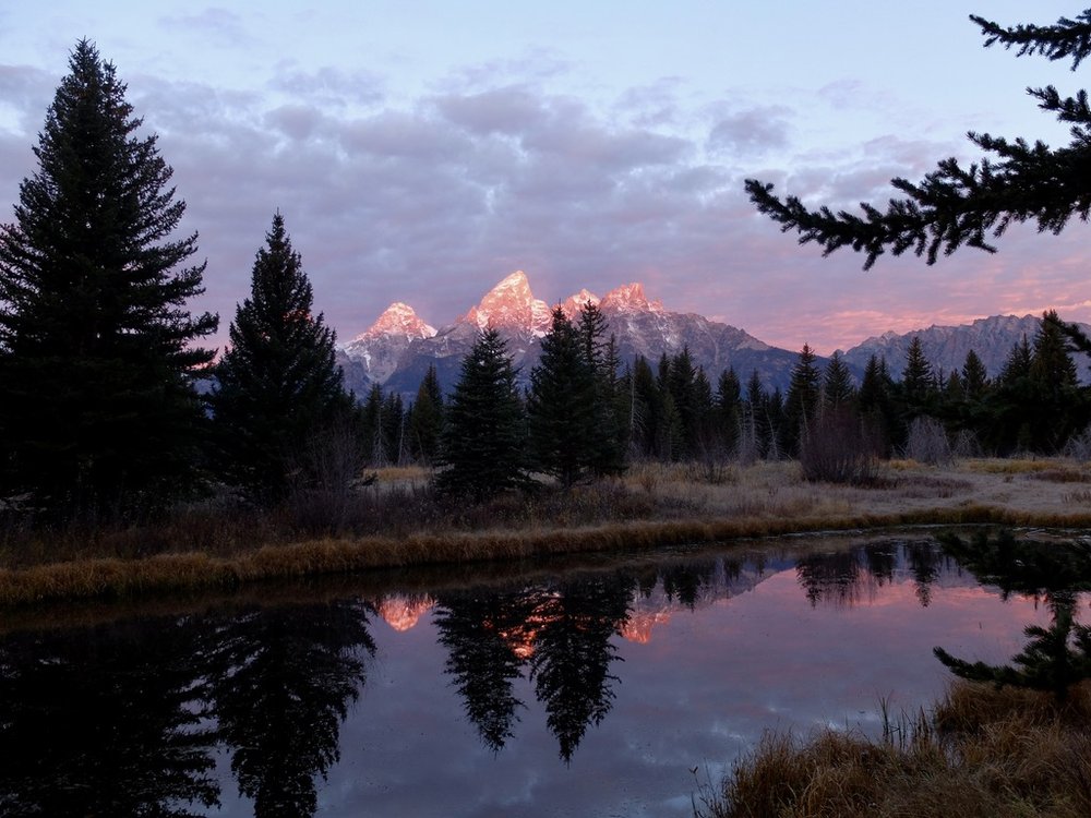 Schwabacher Landing Trail  at sunrise.