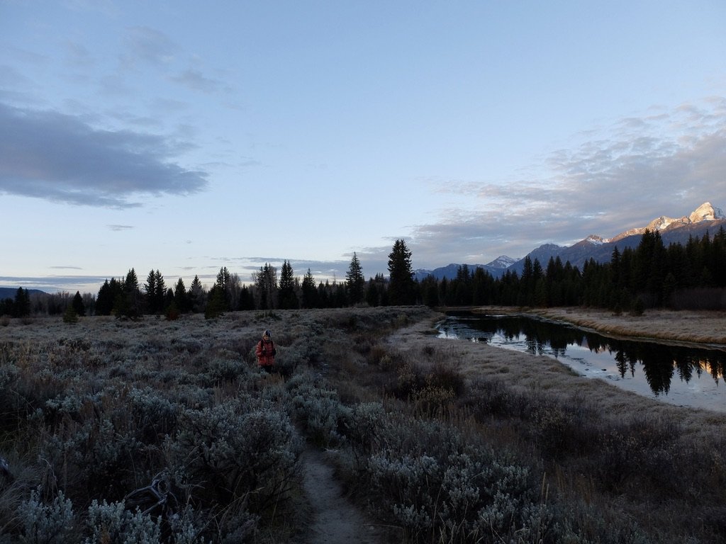  Schwabacher Landing Trail  at sunrise.   Tetonhikingtrails.com: “From the parking area this flat, easy hike follows a well-worn path as it travels along a series of beaver ponds created along a braid of the Snake River...The ponds offer excellent ph