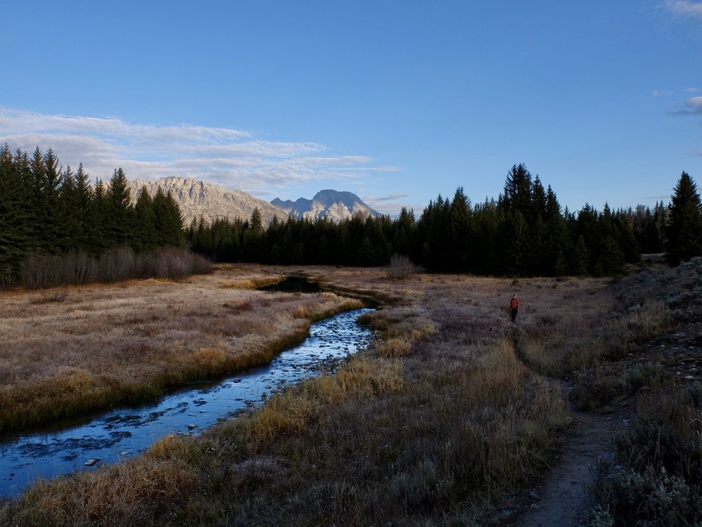  Schwabacher Landing Trail  at sunrise.   “…The trail more or less traverses the boundary between wooded and wetland areas towards the west, and sagebrush flats towards the east…” 