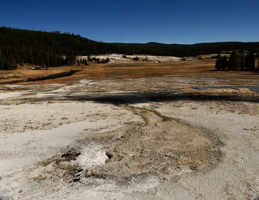 The white area in the background is the Upper Geyser Basin where we had just walked.   