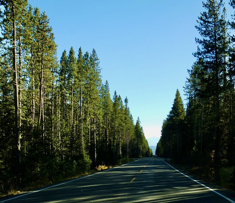 Fairly empty roads in the off season.