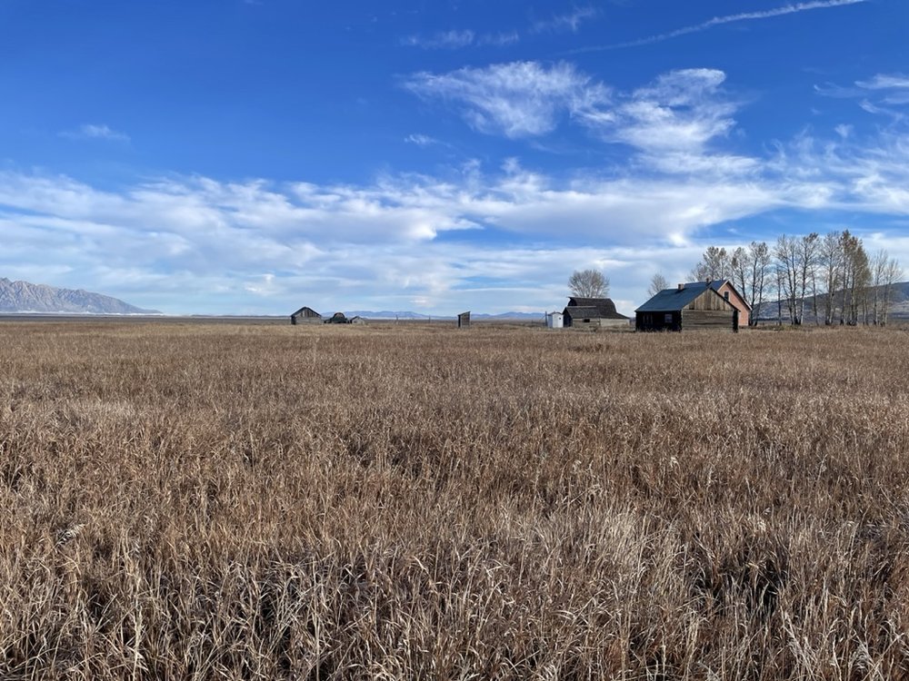 Mormon Row on Antelope Flats Road.