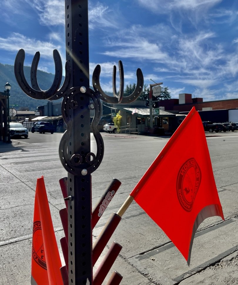  Street crossing with moose horse shoe sculpture &amp; flags with the state seal. 
