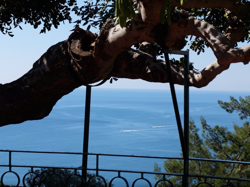  That’s the same tree that was in front of our balcony obscuring our view of the Villagonia Bay. (Or Golfo di Naxos depending on which map of Taormina one consults.)  We couldn’t change our room as a meeting of endocrinologists had taken over the hot