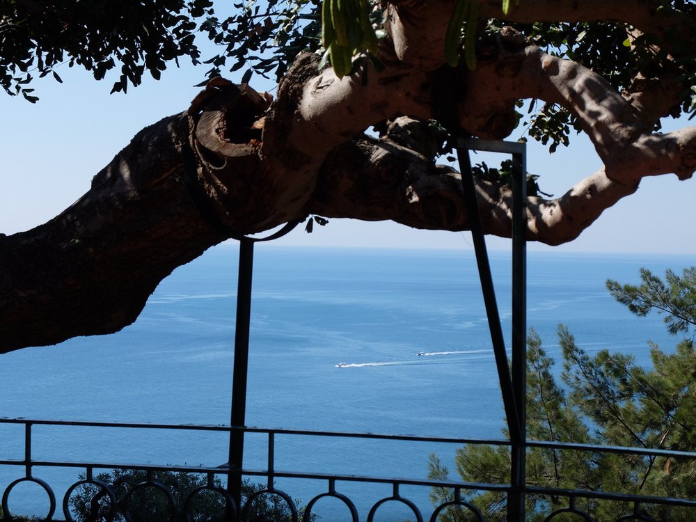  That’s the same tree that was in front of our balcony obscuring our view of the Villagonia Bay. (Or Golfo di Naxos depending on which map of Taormina one consults.)  We couldn’t change our room as a meeting of endocrinologists had taken over the hot