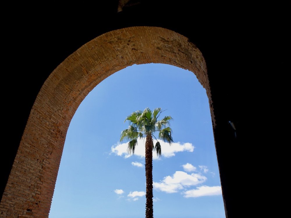 Teatro Greco Taormina - Roman arch with palm tree.  Walking tour with Chiara Rozzi.  