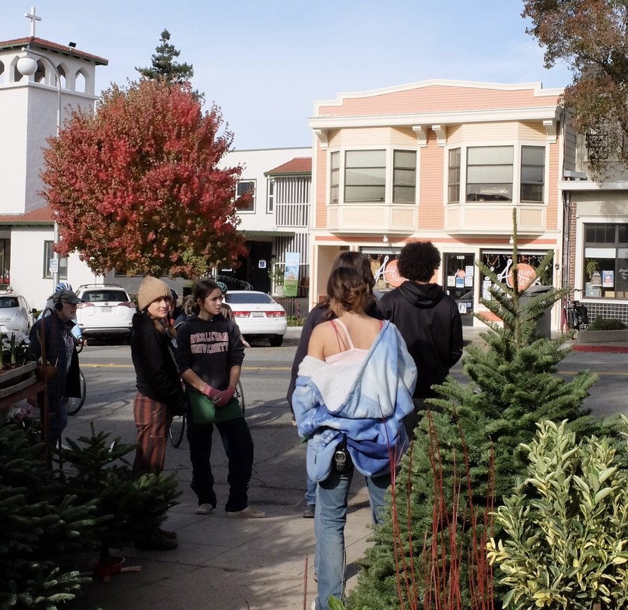 Employees of Flowerland selling Christmas trees.