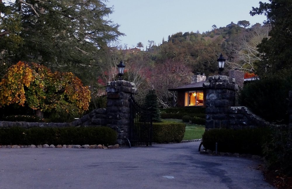 Walking along Laurel Grove Avenue, Ross, CA.