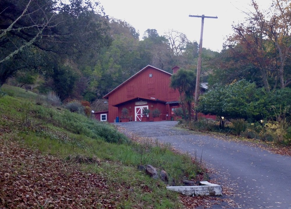  Walking along Laurel Grove Avenue &amp; through the Marin Art &amp; Garden Center, Ross, CA.  Ross Valley Players' Barn Theater.   Perhaps you were fooled &amp; thought this was New Hampshire or Massachusetts? 