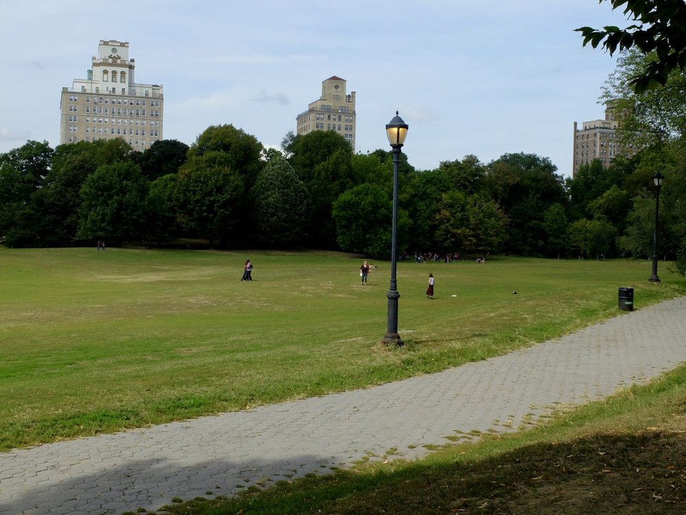  35 Prospect Park West seen from within Prospect Park. Sept. 2015. 