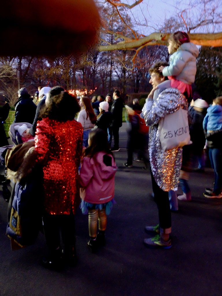   Lightscape, NewYear’s Eve, at Brooklyn Botanic Garden . 