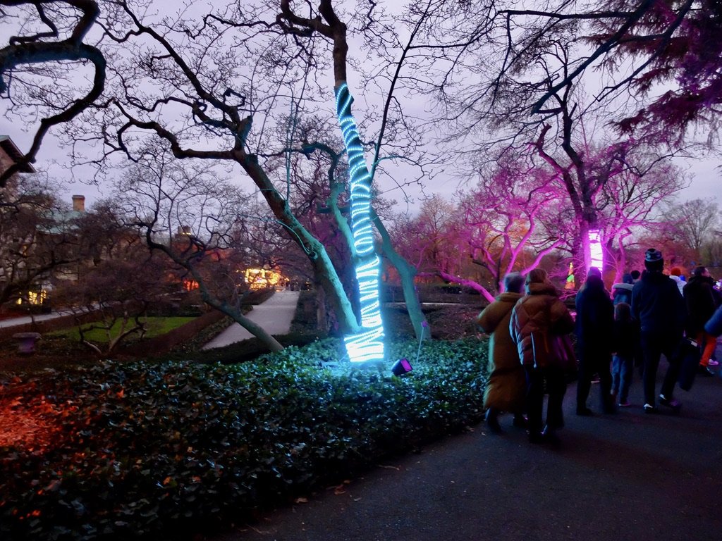   Lightscape at Brooklyn Botanic Garden .  “Visitors to Lightscape make their way along  a  winding trail through BBG's landscape, awash in artistic lighting design..”  
