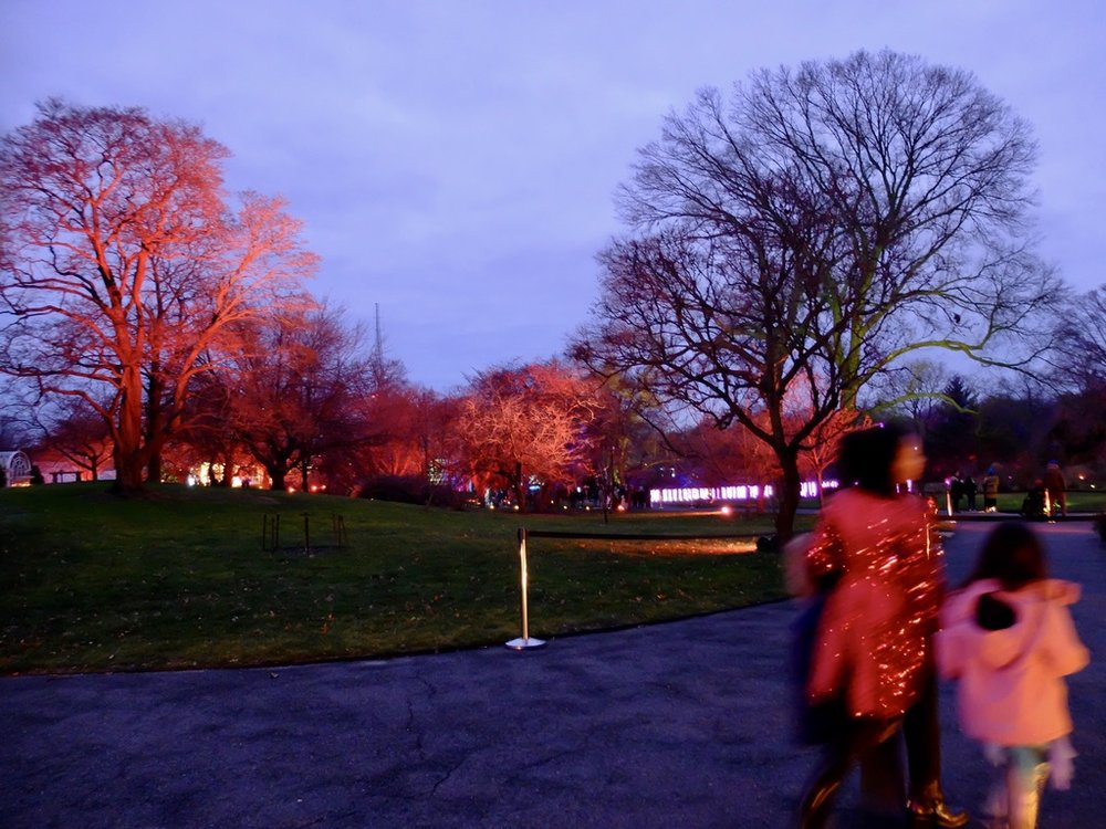   Lightscape at Brooklyn Botanic Garden .  “…colorful effects on BBG's trees, architecture, and water features, and site-specific music and sound.” 