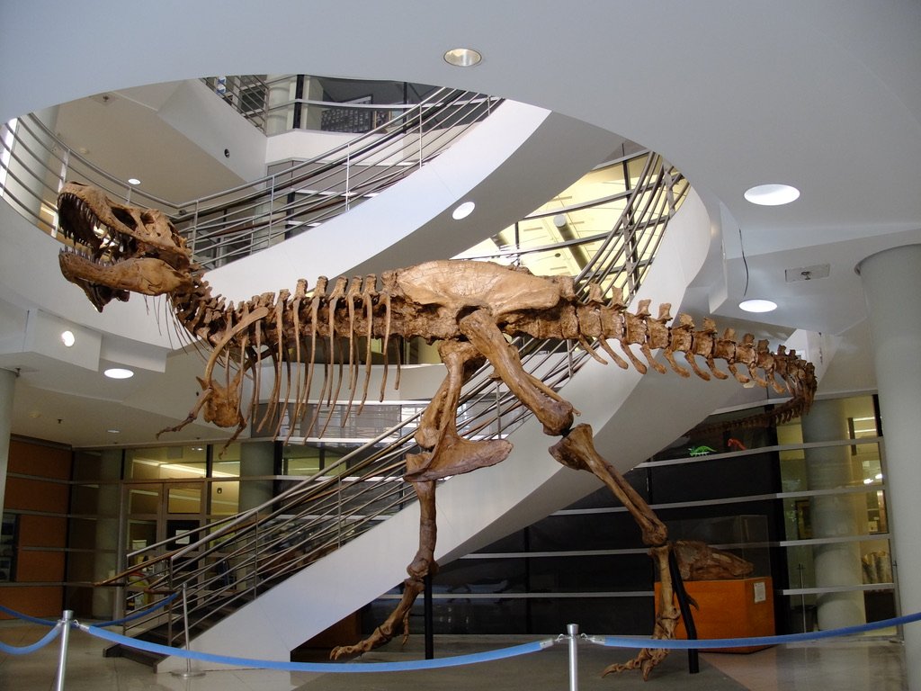 "Stop by and say hello to Osborne, a fully formed tyrannosaurus rex dinosaur!"