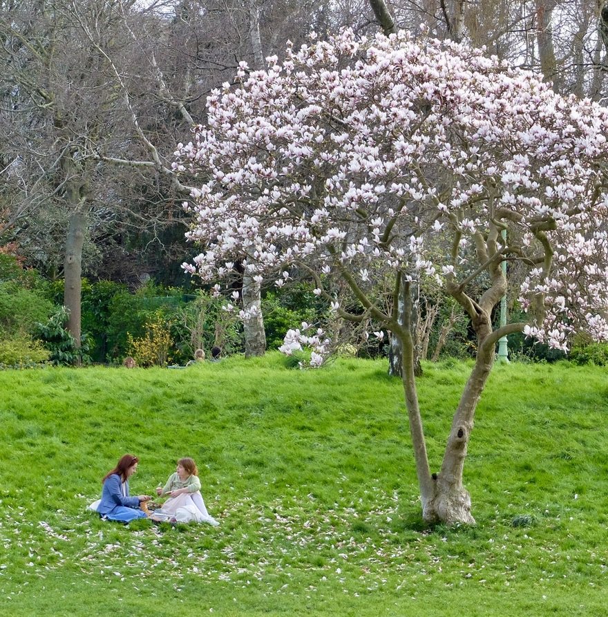 Le parc Monceau.