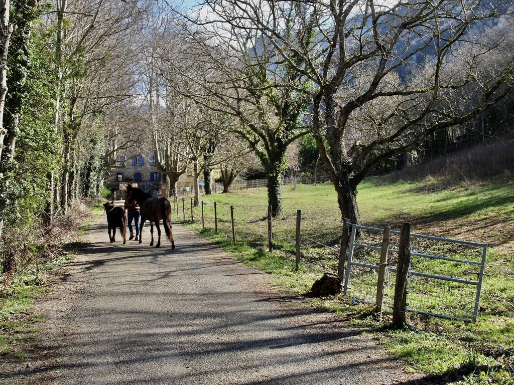 Route du Roc, Saoû.