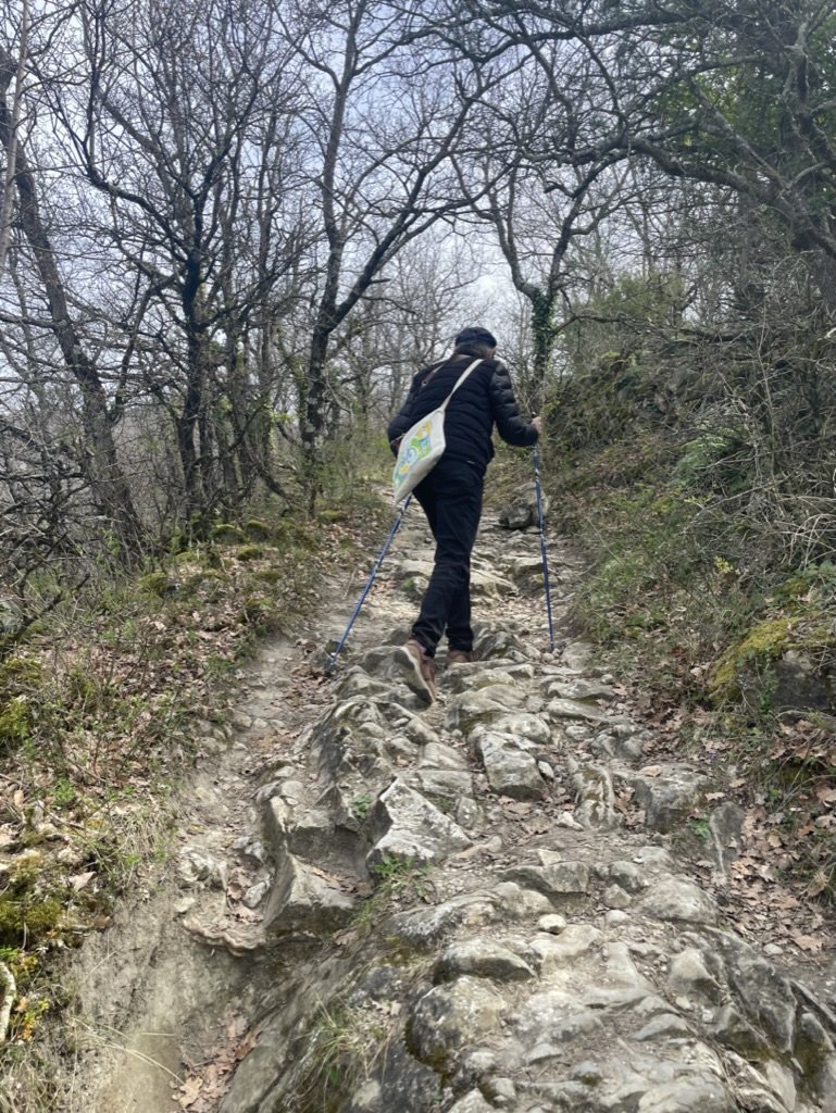  Mentioning walking, the hiking was superlative.  Nate even bikes on this trail.  Yikes!  Photo by Nate. 