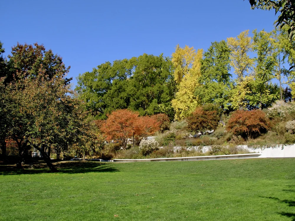 Brooklyn Botanic Garden (BBG).