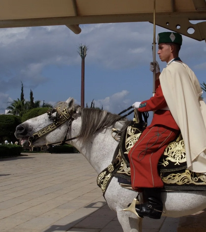  Rabat, Maroc - Mausoleum of Mohammed Vi is the grand tomb of one of Morocco’s kings &amp; his two sons. Commissioned by King Hassan II in 1962 &amp; completed in 1971.  This fellow was motionless. 