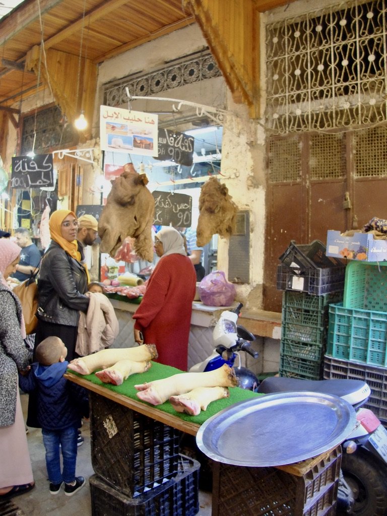 Camel meat available here.