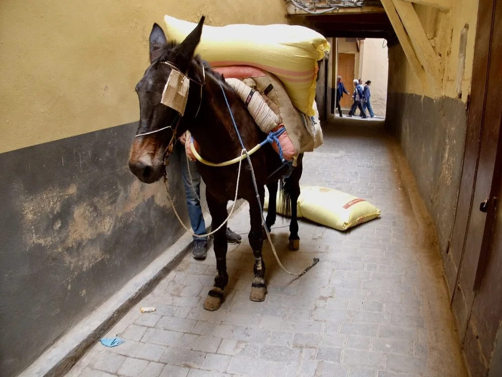 The fellow loading the donkey hid from me.  I was hoping to watch him load that third sack.