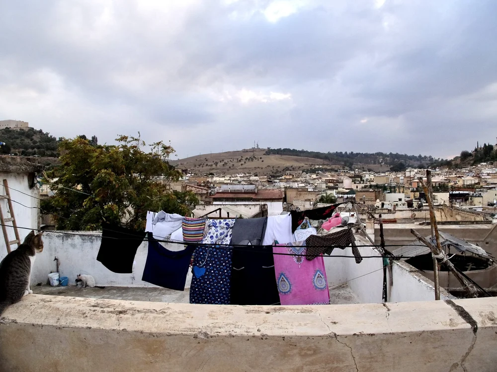 From the rooftop of Karawan Riad.  Lots of kitty cats everywhere.  I didn't notice them in 1978.