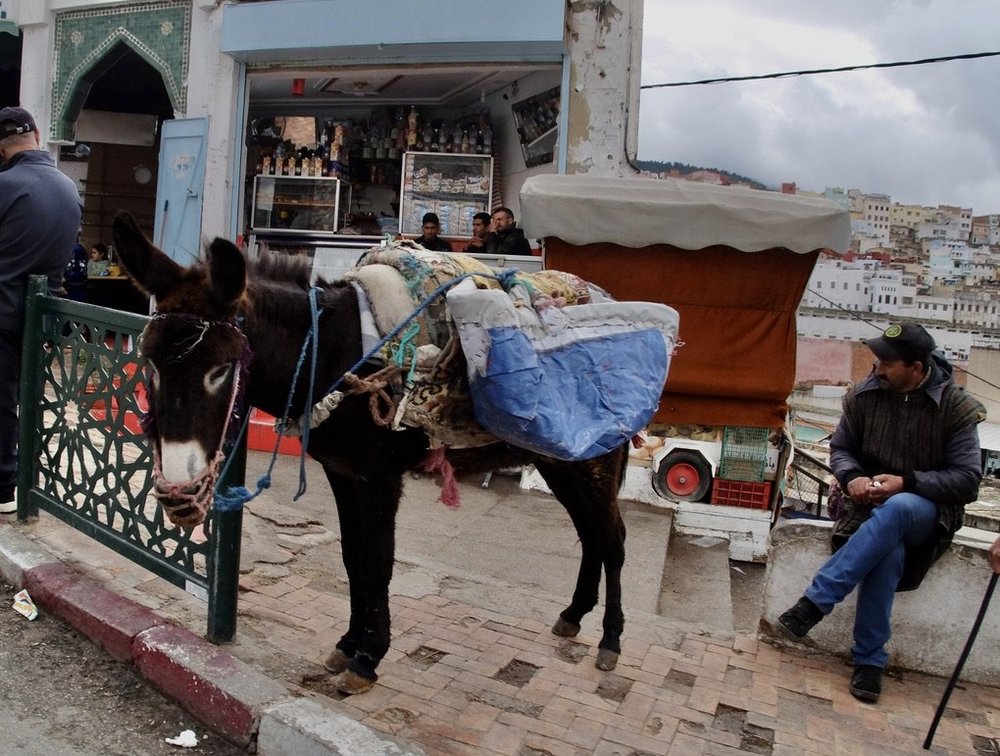  Waiting to take someone's load somewhere.  Farid drove us through a village that Youssef thought we’d find interesting to look at.  