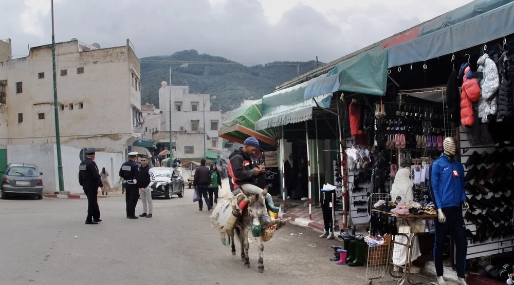  New meets old; texting on a donkey. 