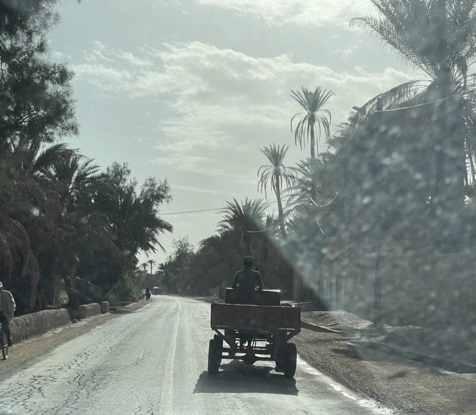 Another oasis near the Qued Ziz.