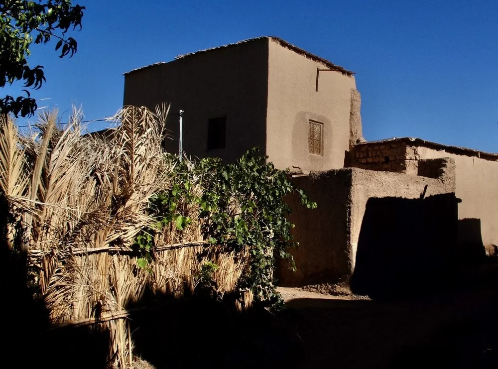  We took a guided walking tour of Skoura.  I liked this natural fence around a house’s backyard. 