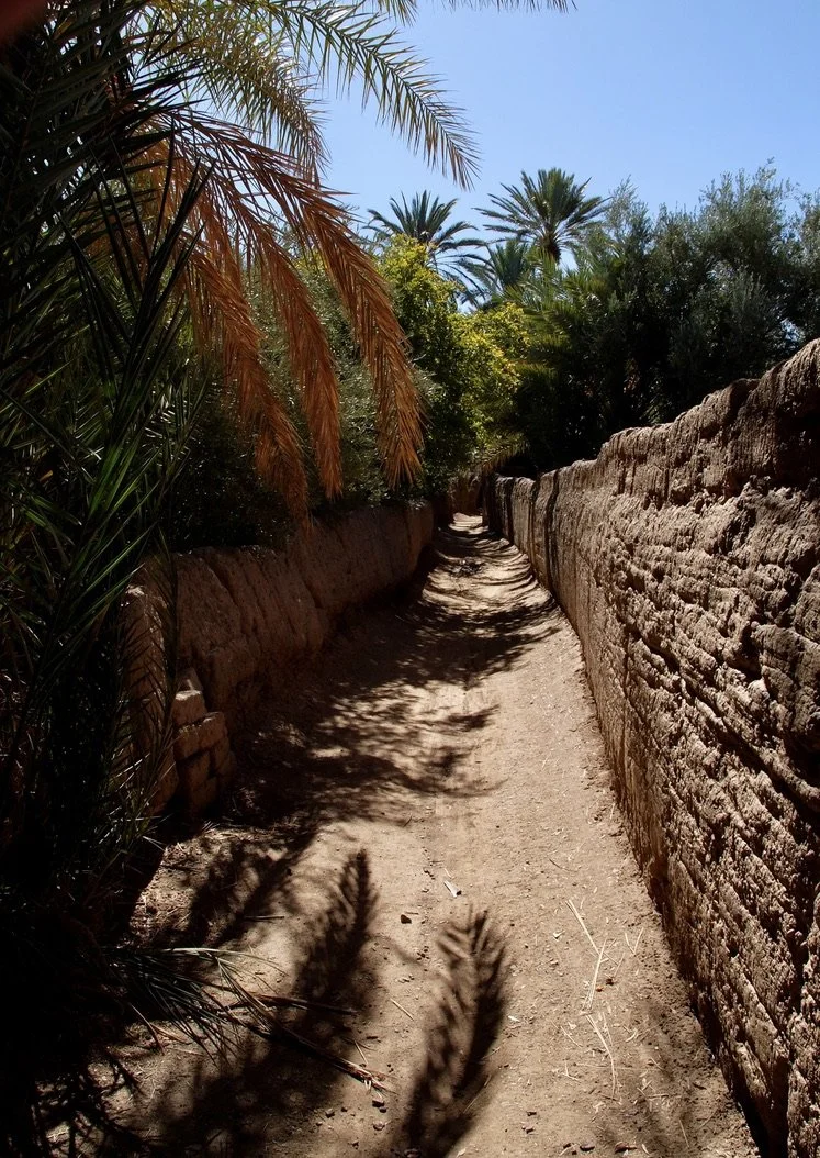 Skoura walking tour.