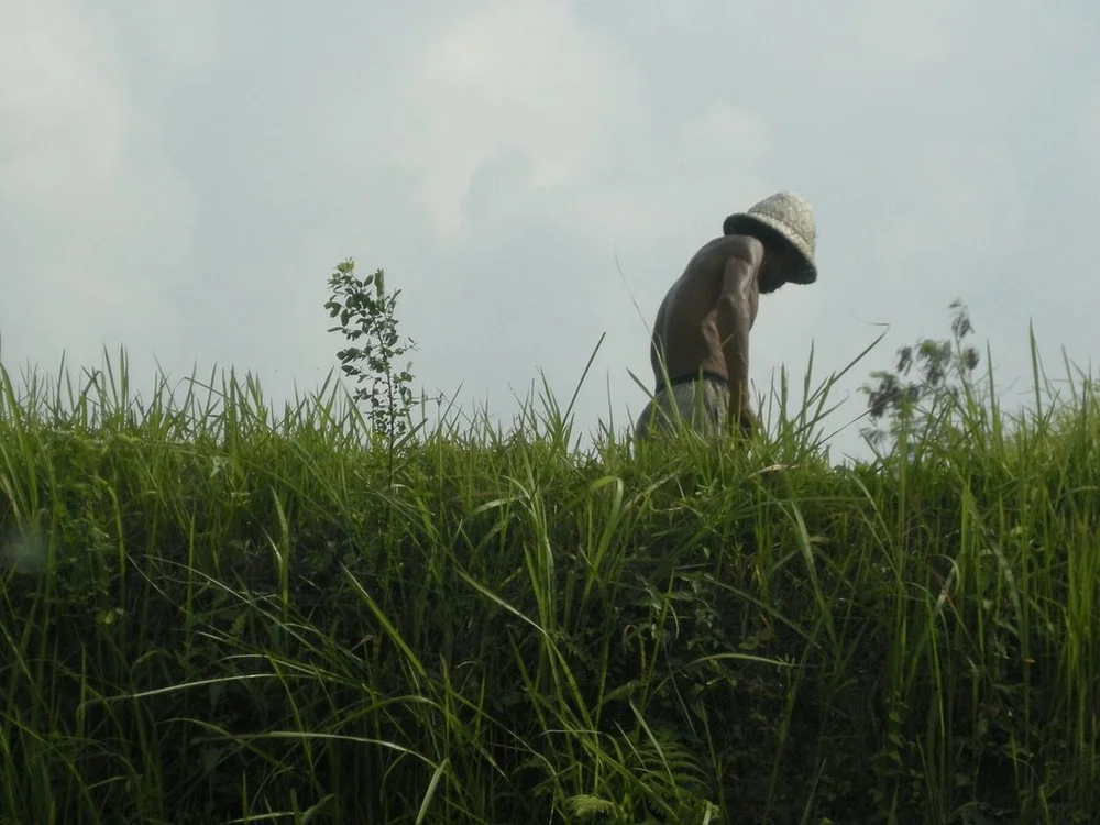 ...him.  Taken in Bali, Sept. 2011.