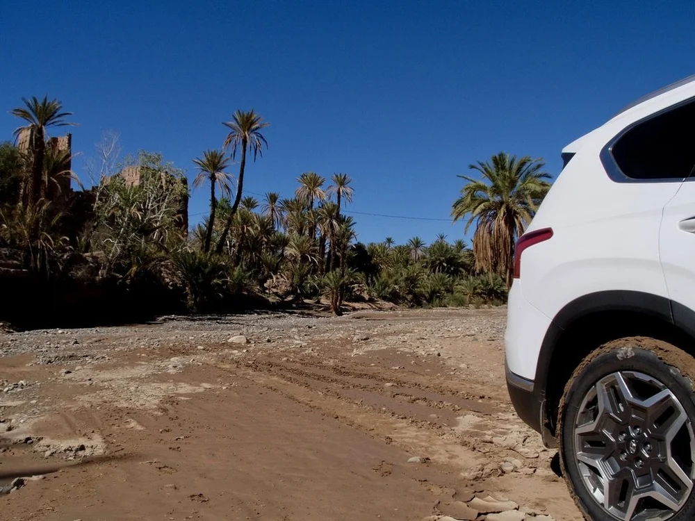 ...four wheel drive vehicle to the oasis for a luncheon picnic.