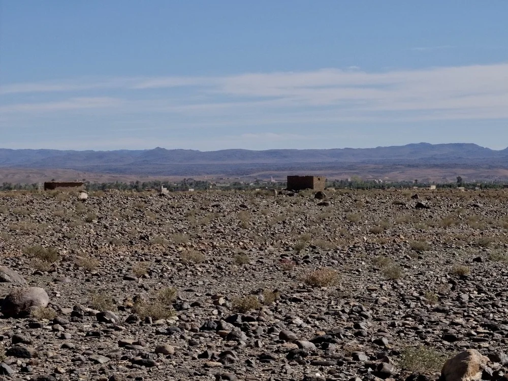 Return from the oasis picnic.  This land has been subdivided for a housing development.