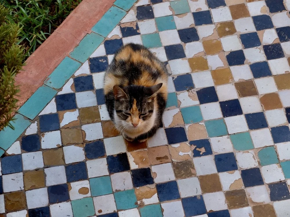 TOMBEAUX SAADIENS-TOMBS...