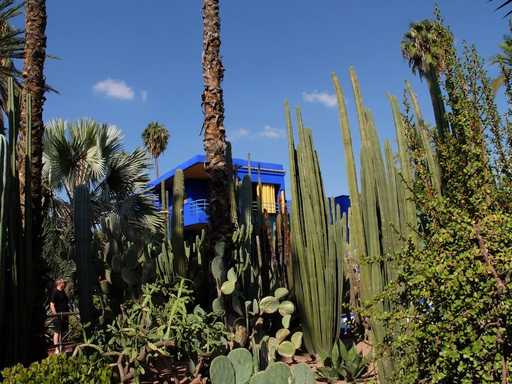  “Jacques Majorelle, born in Nancy, France in 1886, was the son of the celebrated furniture maker Louis Majorelle. In 1924, seven years after his arrival in Morocco, Jacques Majorelle built a villa on what was then the outskirts of town, and in 1931 