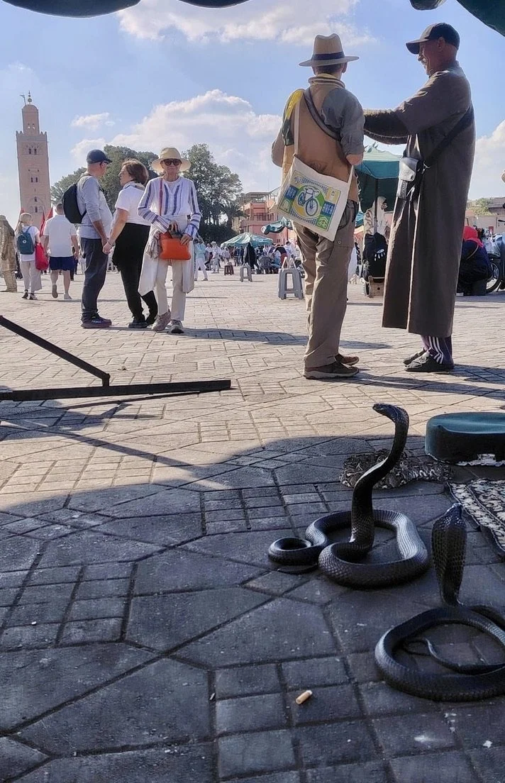  Jemaa el-Fnaa Square.   Note my living collar.  Photo by Youssef Jamal. 