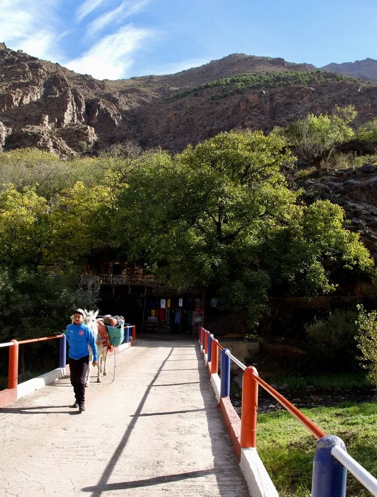  There’s even a sanctuary, just south of Marrakech,  the Jarjeer Mule And Donkey Refuge.   It is home to donkeys who finally get to rest after a life of toil.   