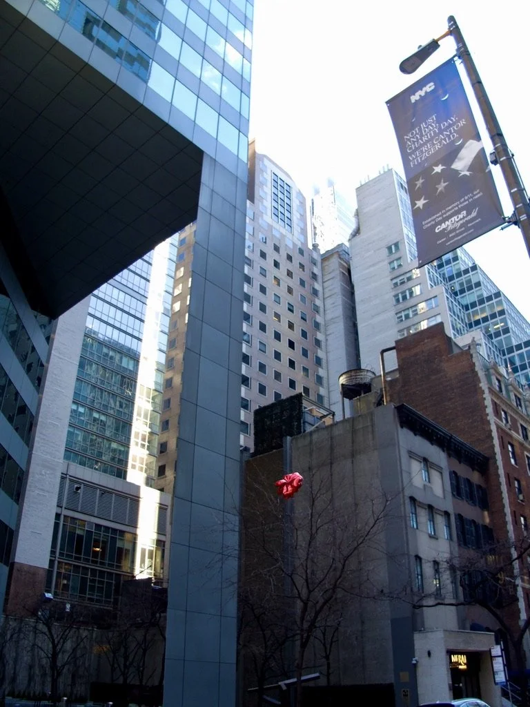 The last vestiges of Valentine's Day caught in a tree.