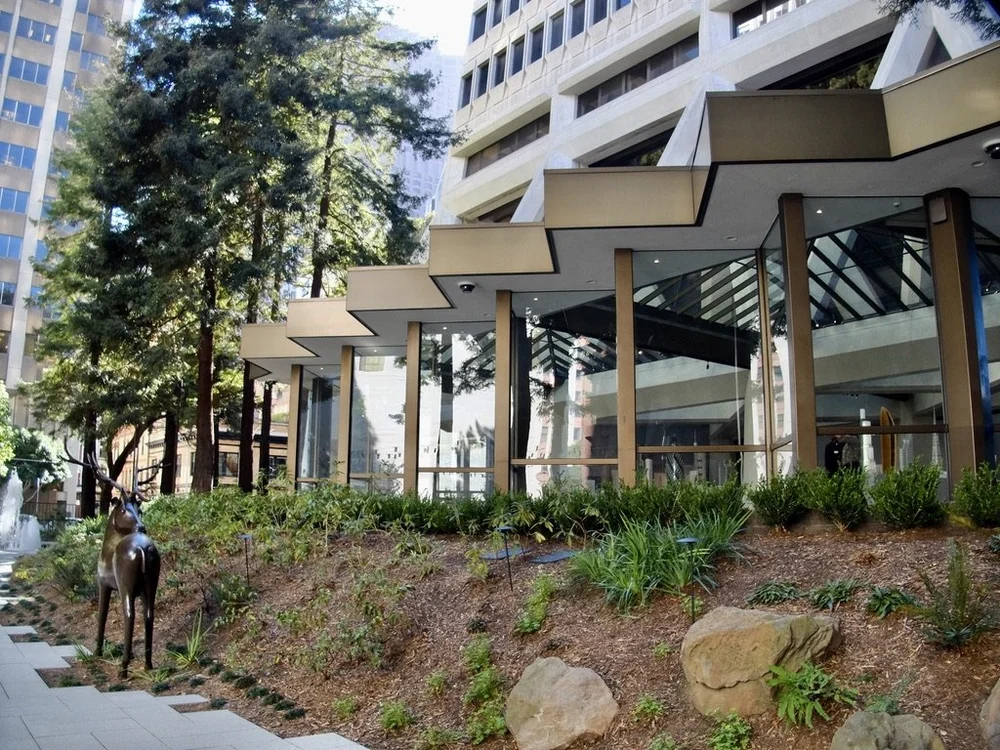 Transamerica Redwood Park.