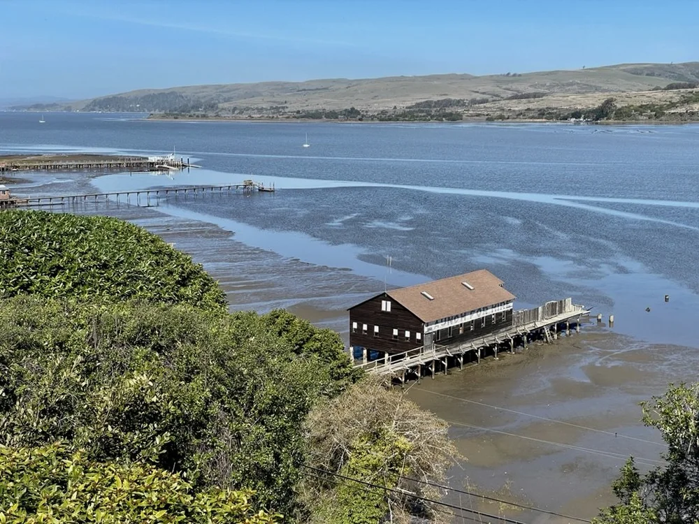 View of Tomales Bay from the deck of 100 Edgemont Way, Inverness, CA.