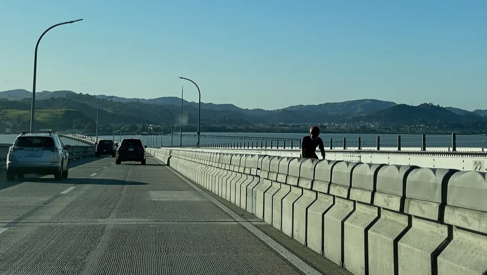  A lone cyclist in the contentious bike lane on the San Rafael/Richmond Bridge. Westbound (to San Rafael) motor vehicle morning commute traffic gets backed up as they are limited to two lanes. The bike lane is used by a few hardy commuters &amp; recr