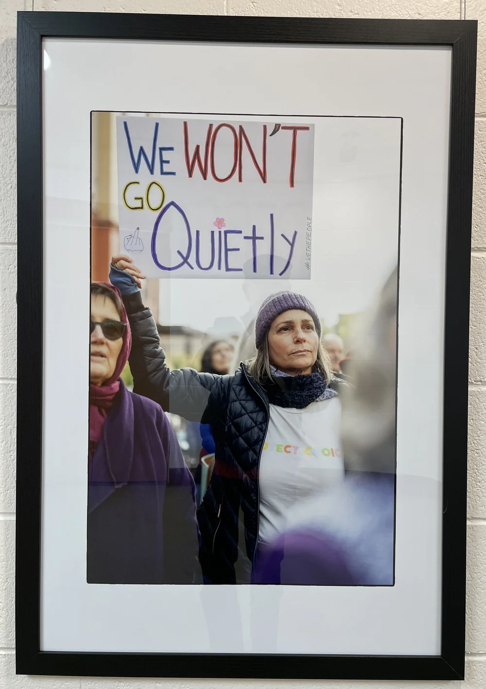  "We Won't Go Quietly"  People's March   San Rafael, CA - January 2025  $300- 