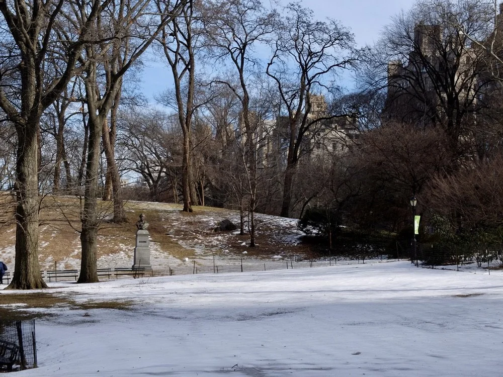 Central Park.