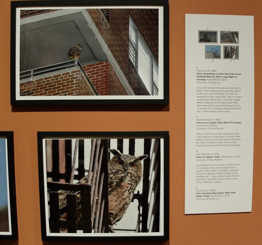  NY Historical Society. 