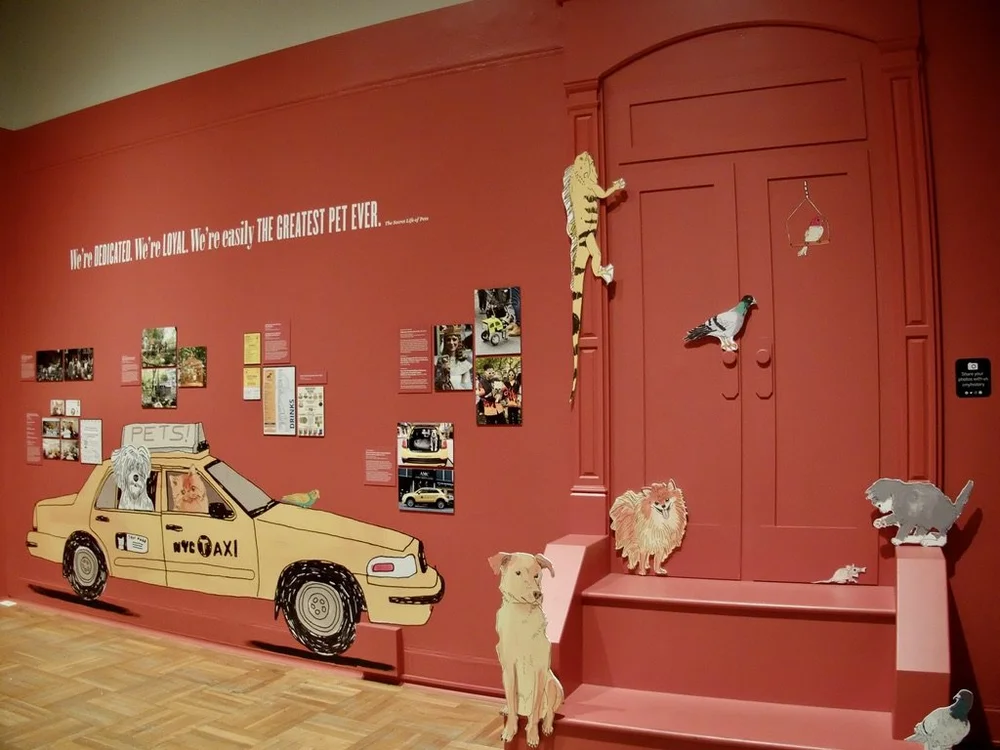   “Pets and the City  explores the visual history of New Yorkers and their animal companions over the last two and a half centuries, tracing the ever-evolving relationship between Gotham’s people and its animals as the city grew increasingly urbanize