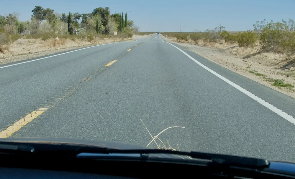 A tumbling tumble weed caught in the MINI's bonnet.