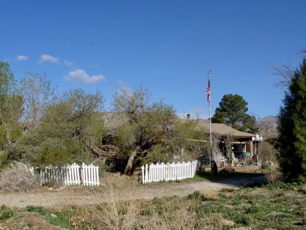 I was having trouble sighting the birds &amp; got carried away by the local architecture. 